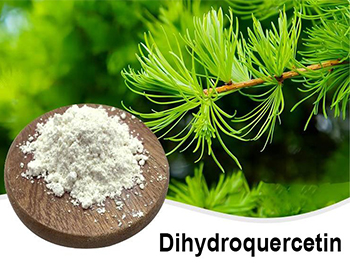 Is Taxifolin The Same As Quercetin?